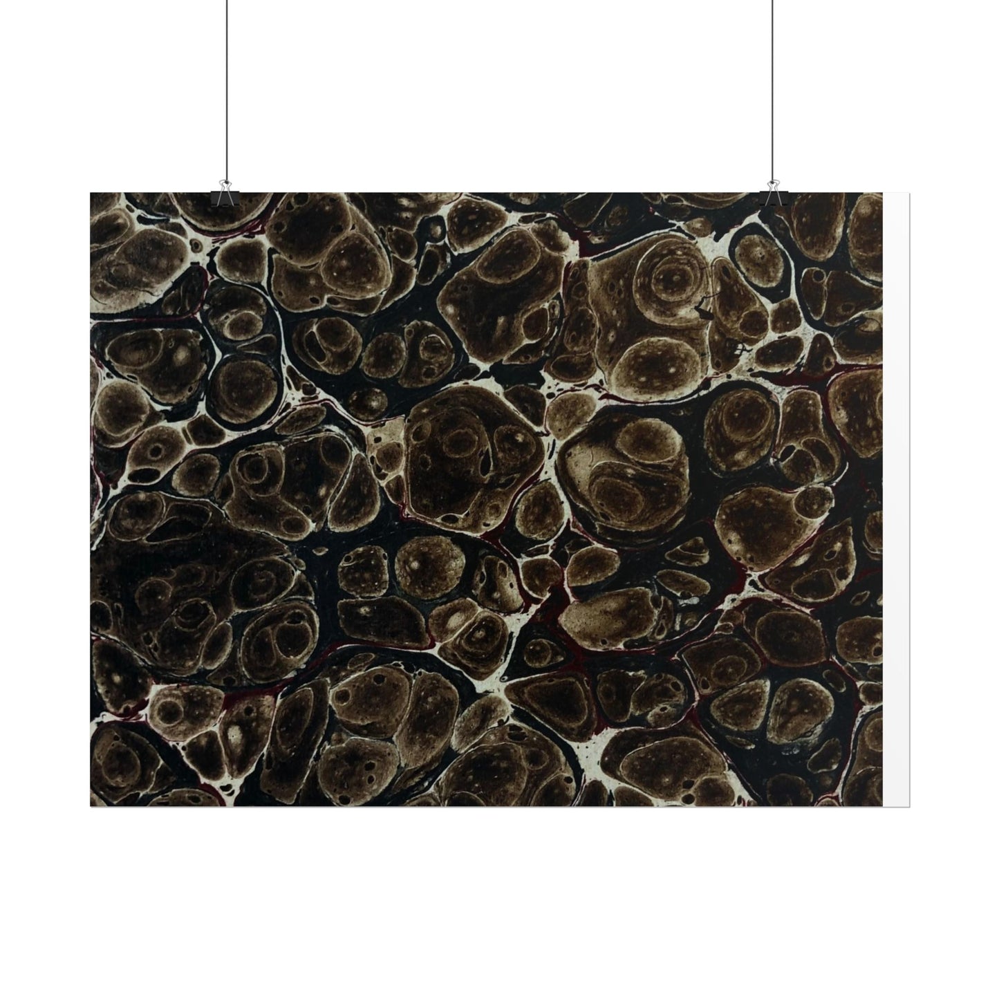 Daze Rolled Poster