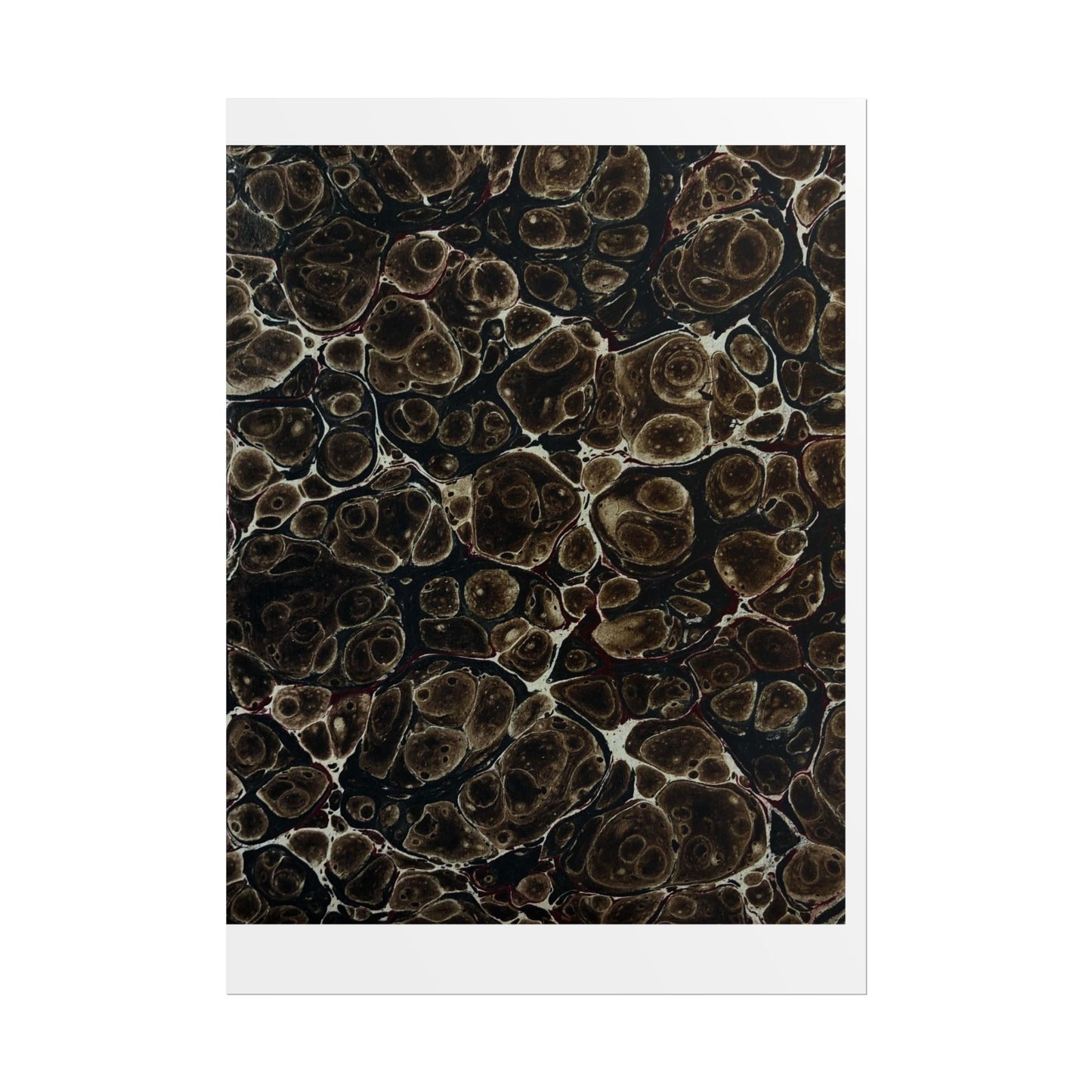 Daze Rolled Poster
