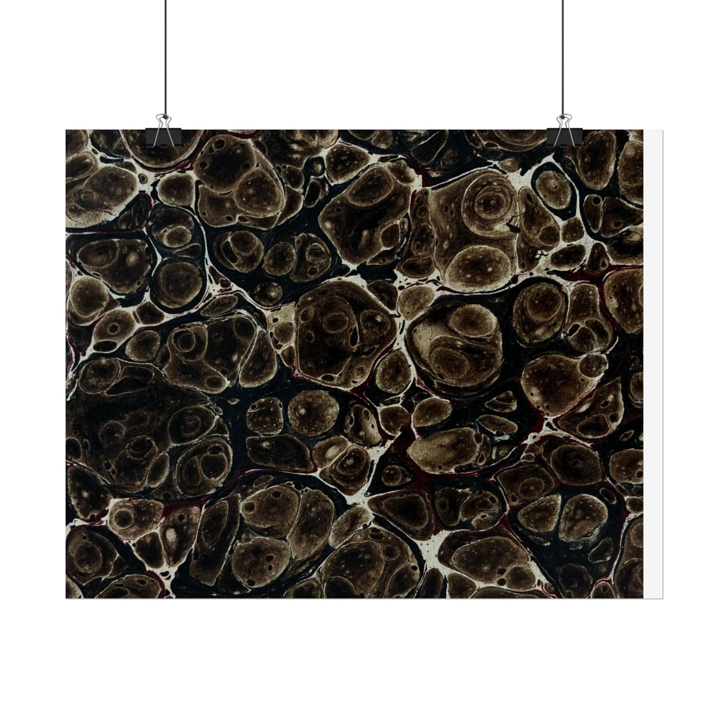 Daze Rolled Poster
