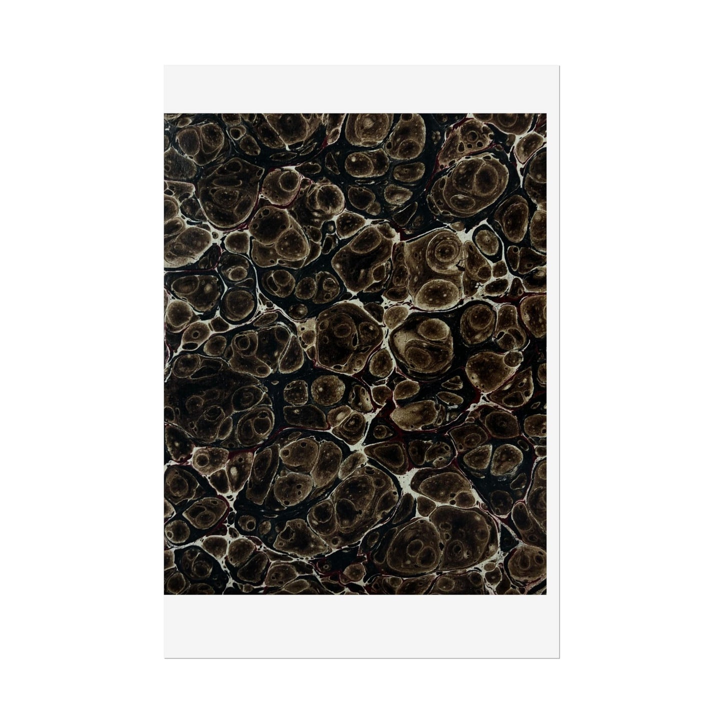 Daze Rolled Poster