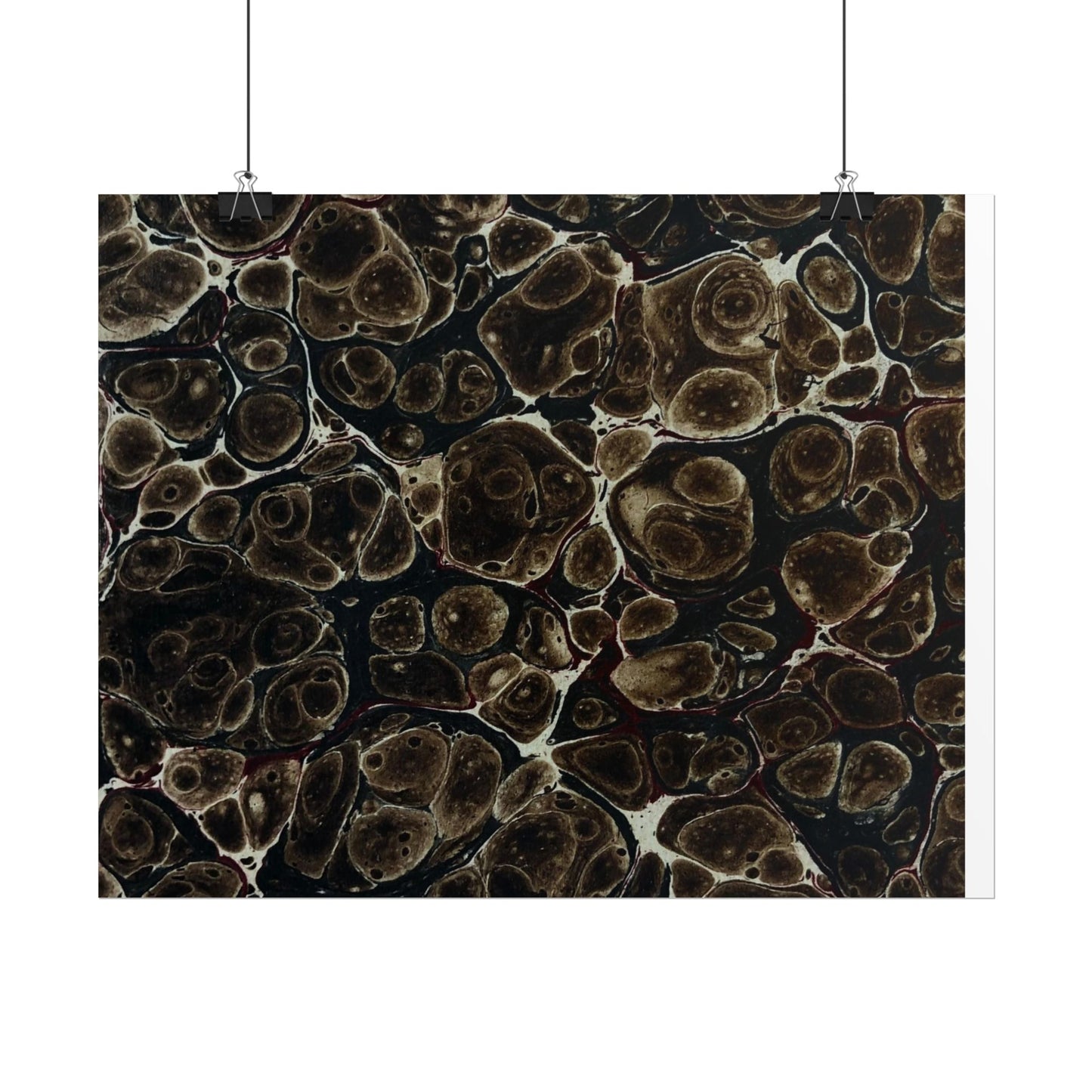 Daze Rolled Poster
