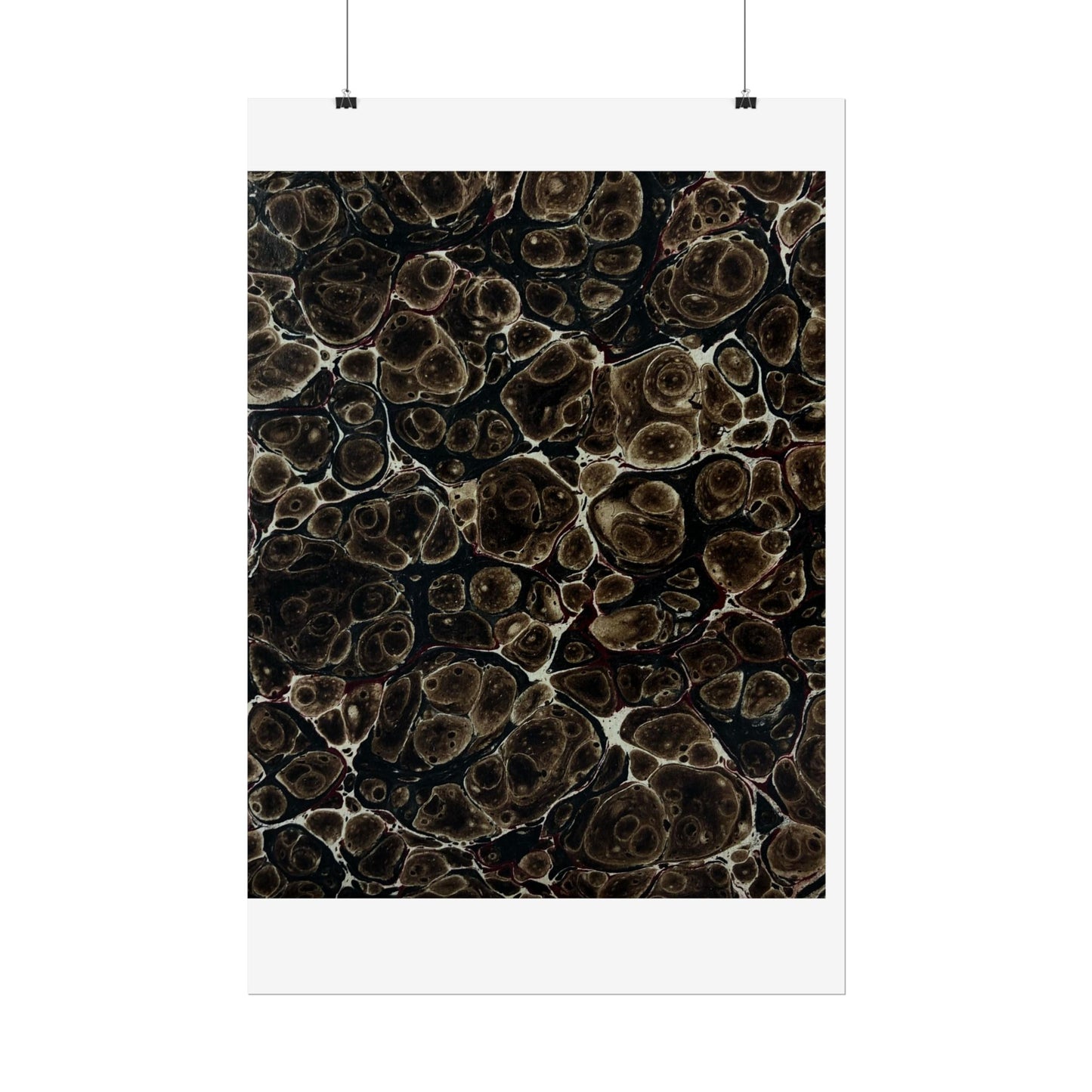 Daze Rolled Poster