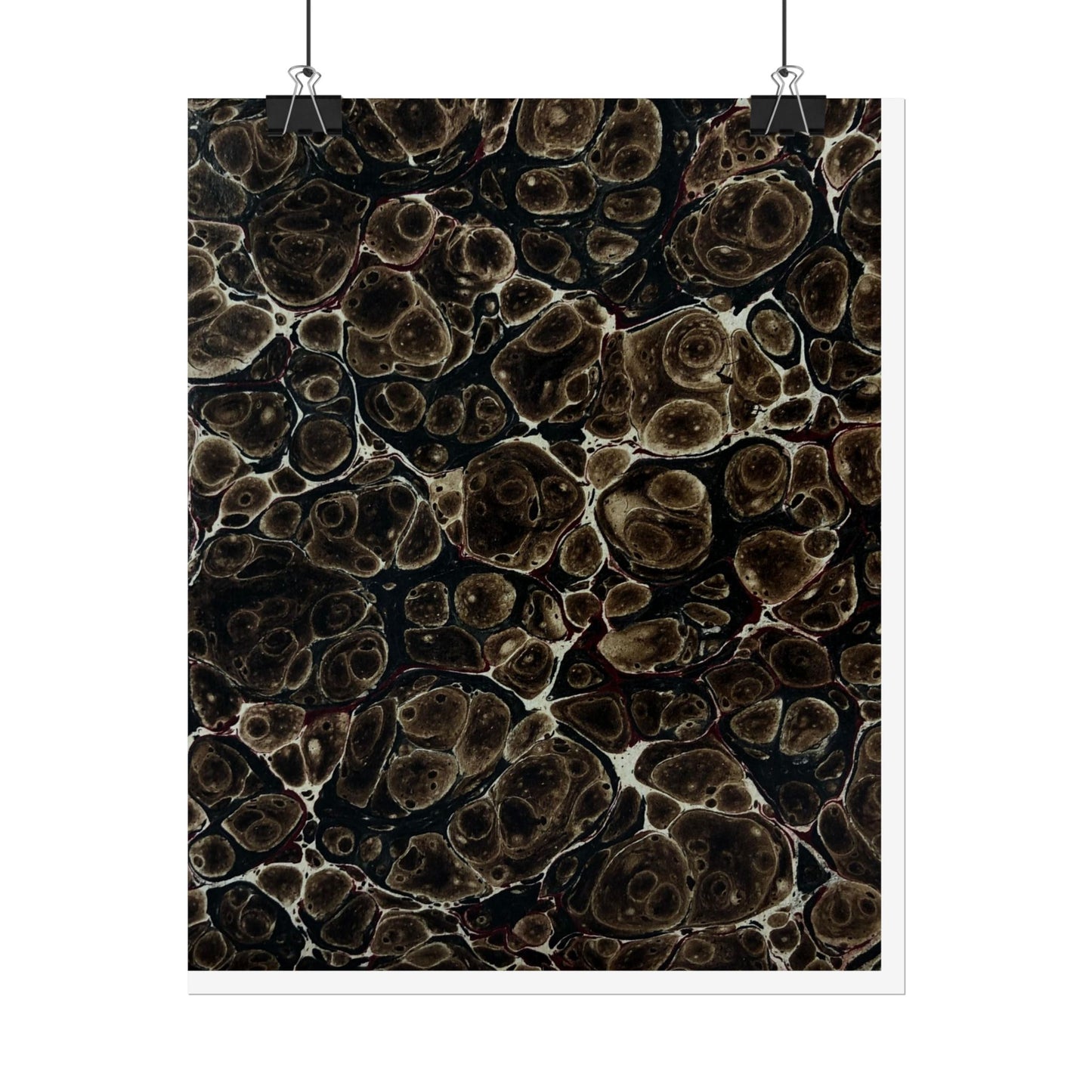 Daze Rolled Poster