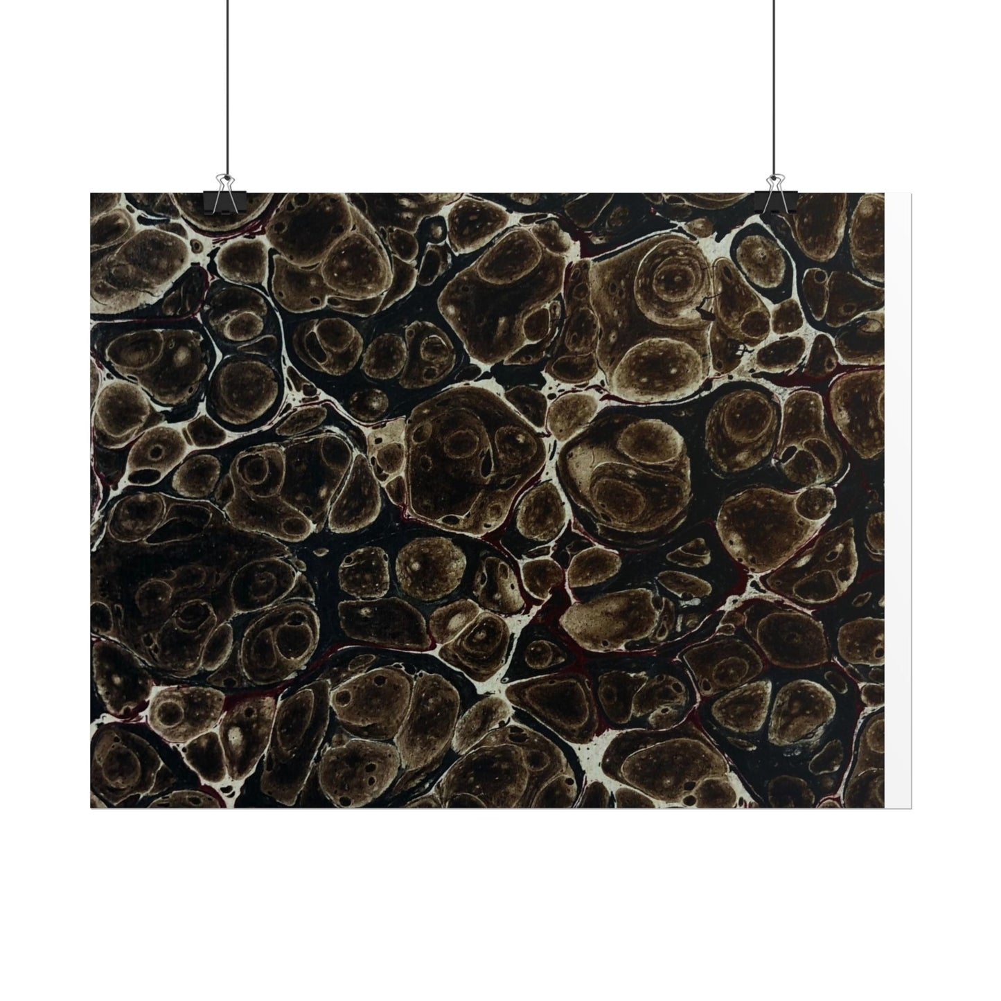 Daze Rolled Poster
