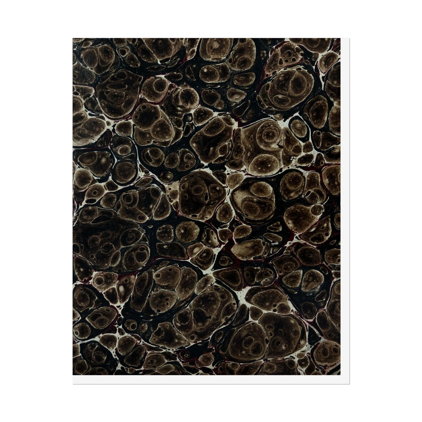 Daze Rolled Poster