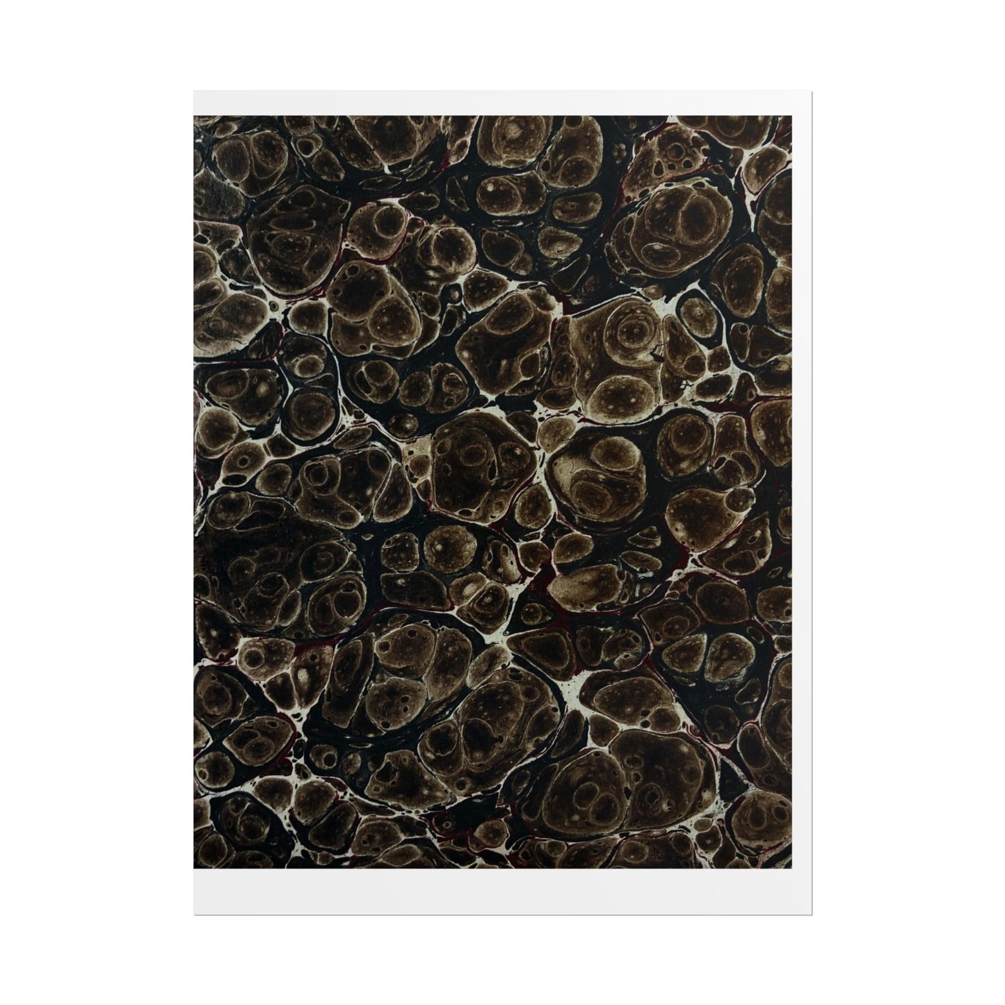 Daze Rolled Poster