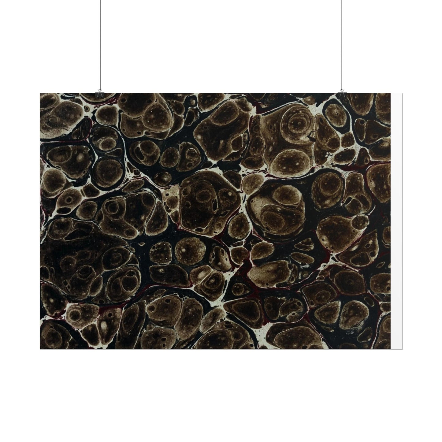 Daze Rolled Poster