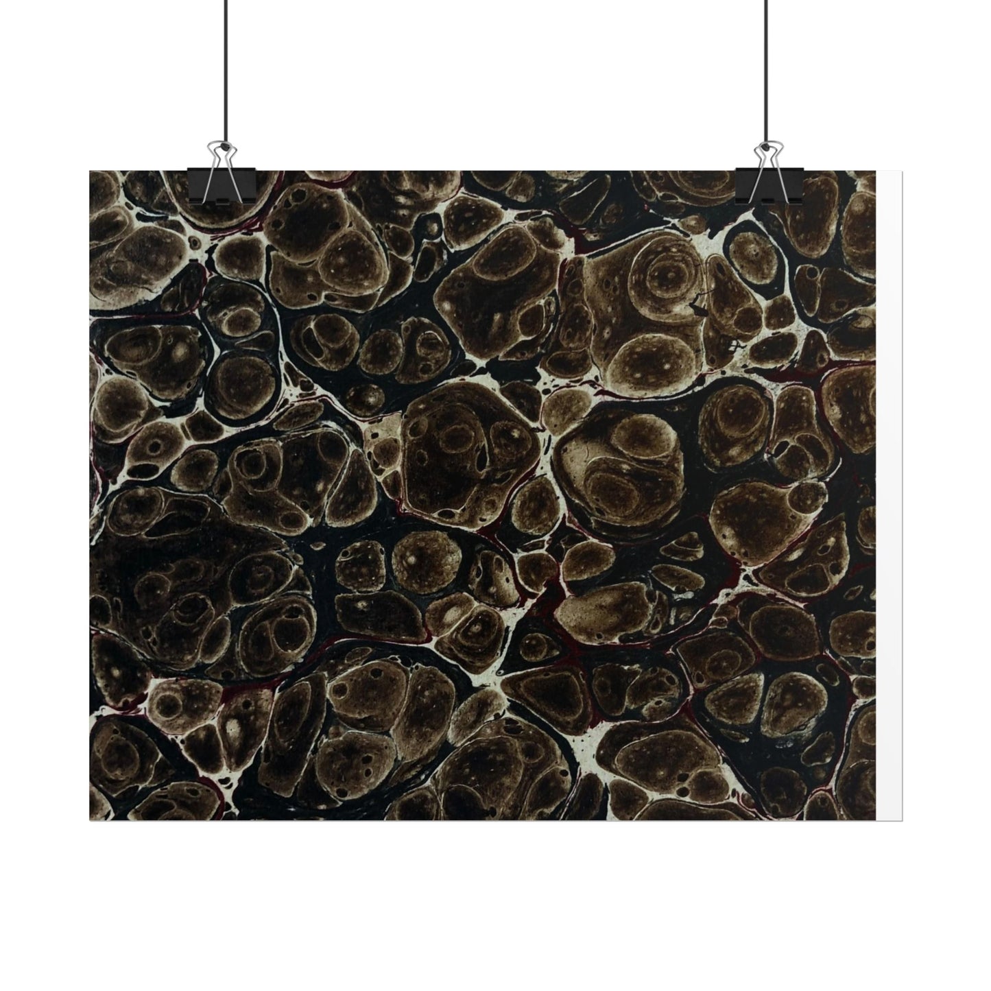 Daze Rolled Poster