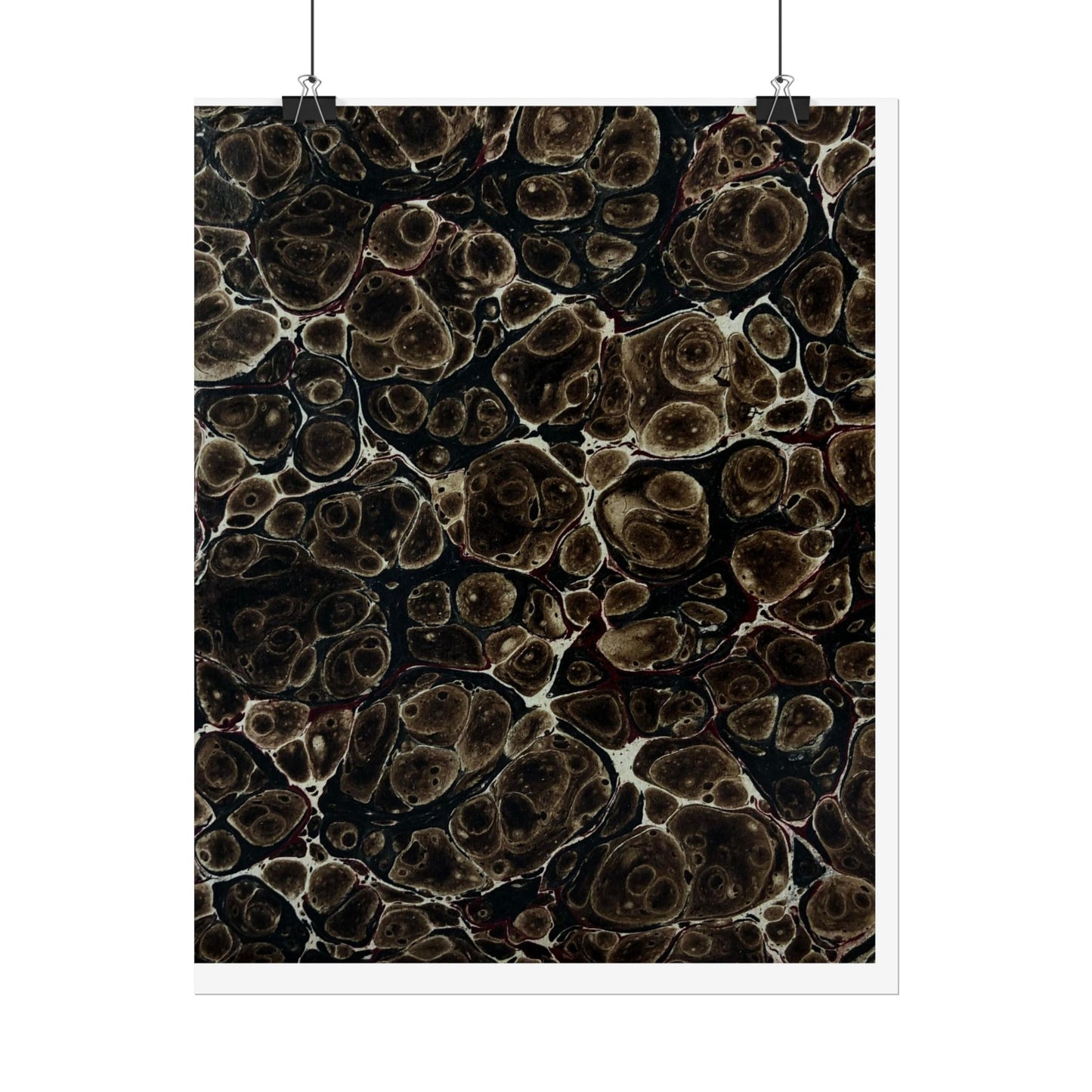Daze Rolled Poster