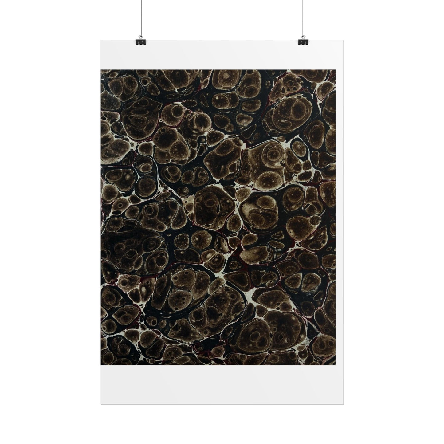 Daze Rolled Poster