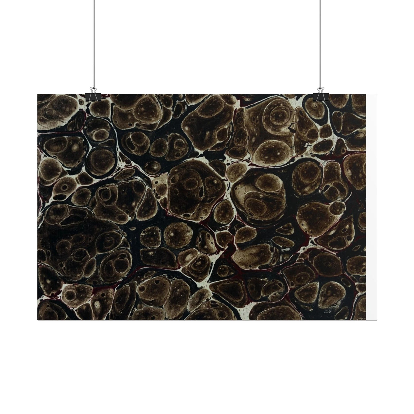 Daze Rolled Poster