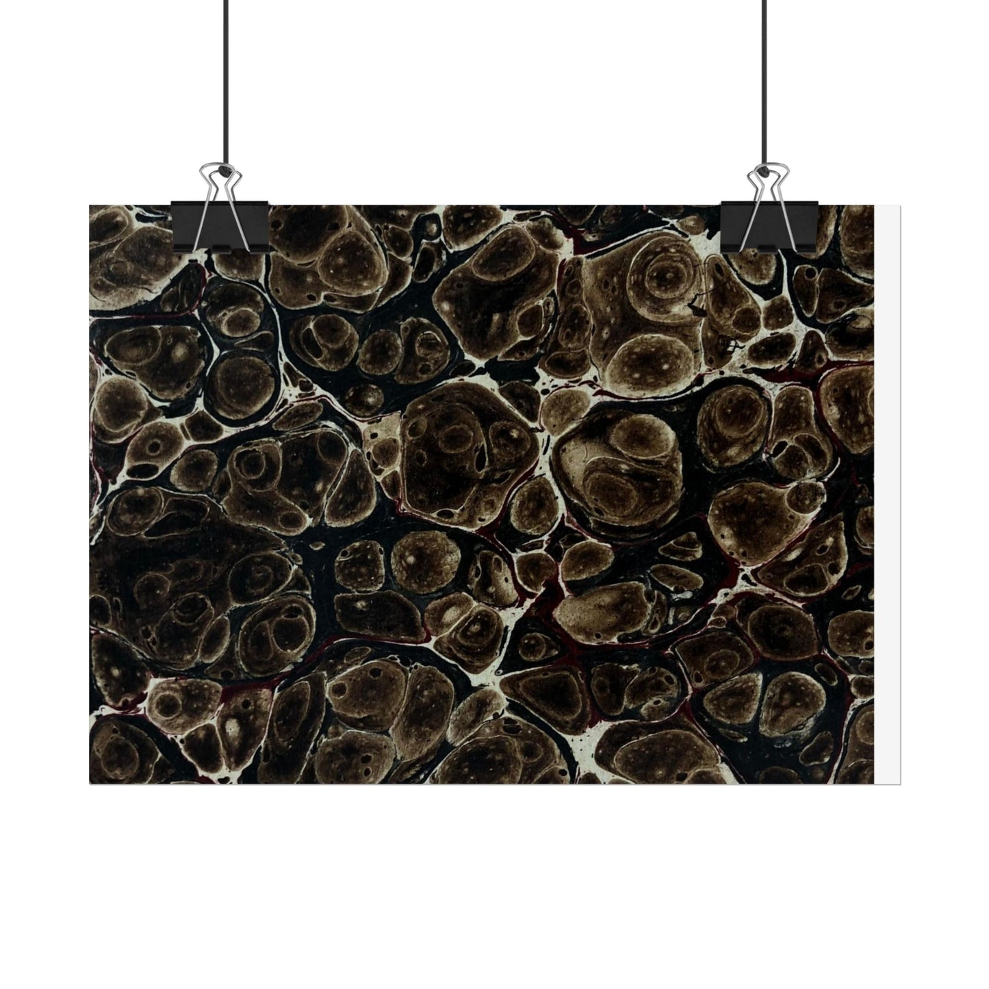 Daze Rolled Poster