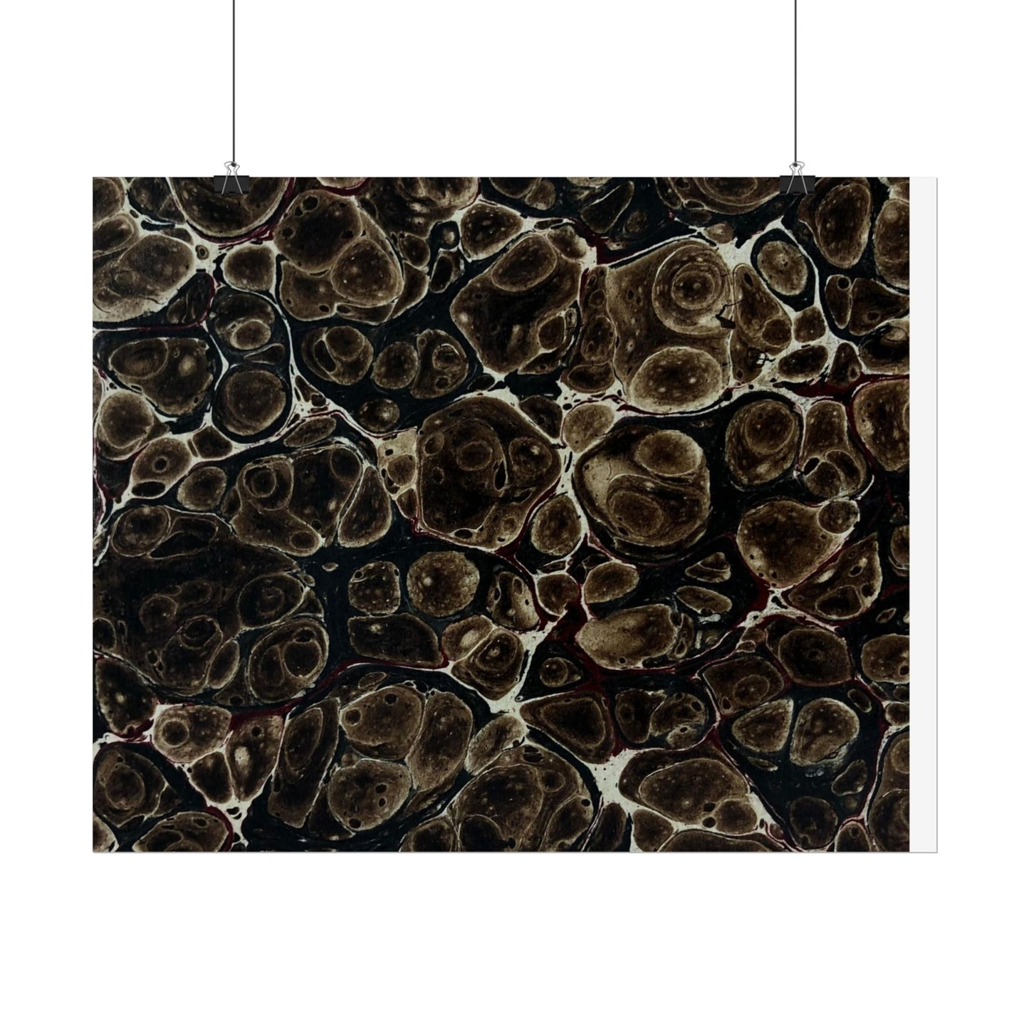 Daze Rolled Poster