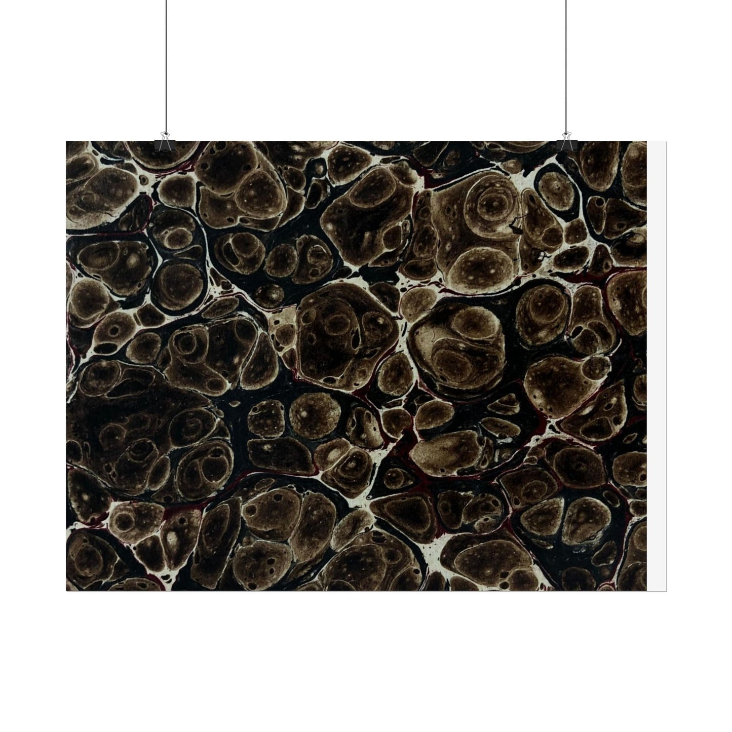 Daze Rolled Poster
