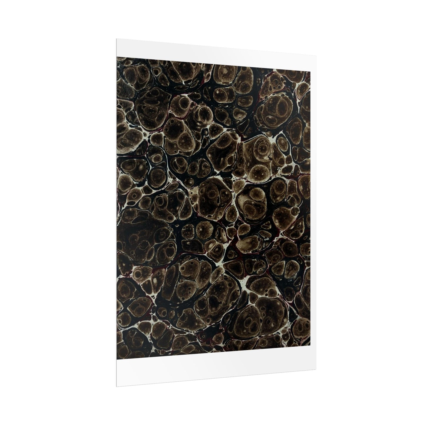 Daze Rolled Poster