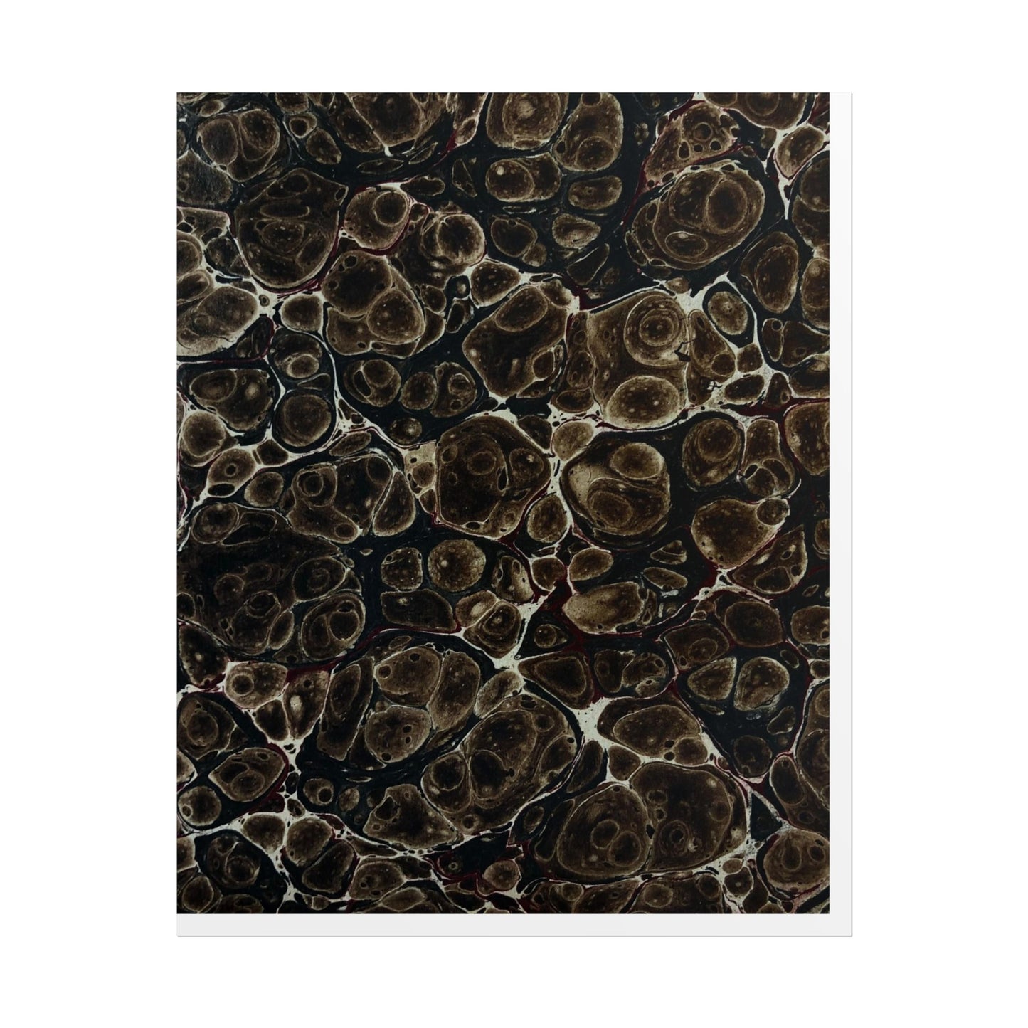 Daze Rolled Poster