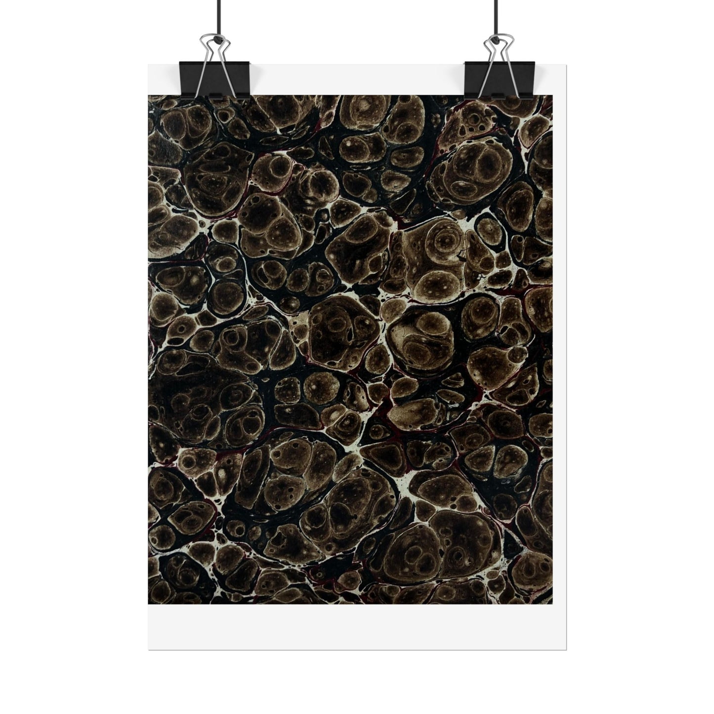 Daze Rolled Poster