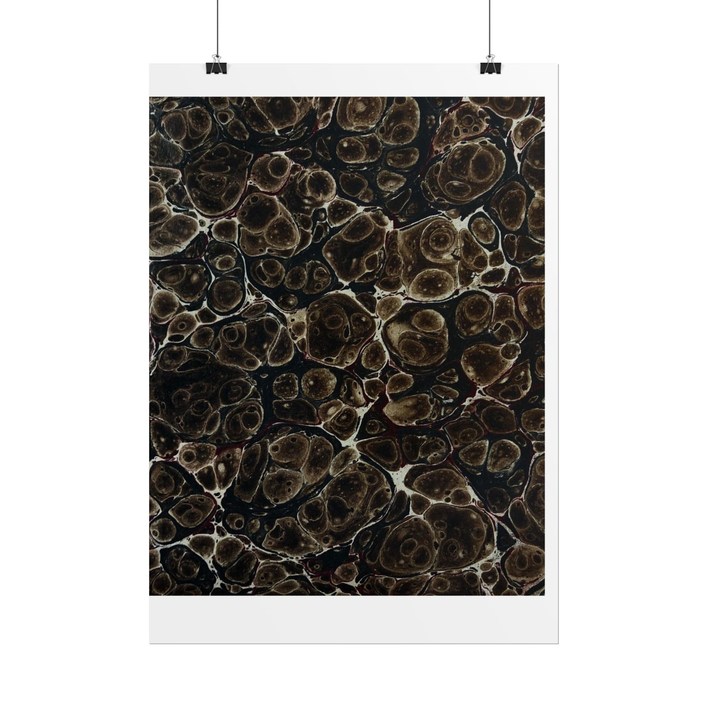 Daze Rolled Poster