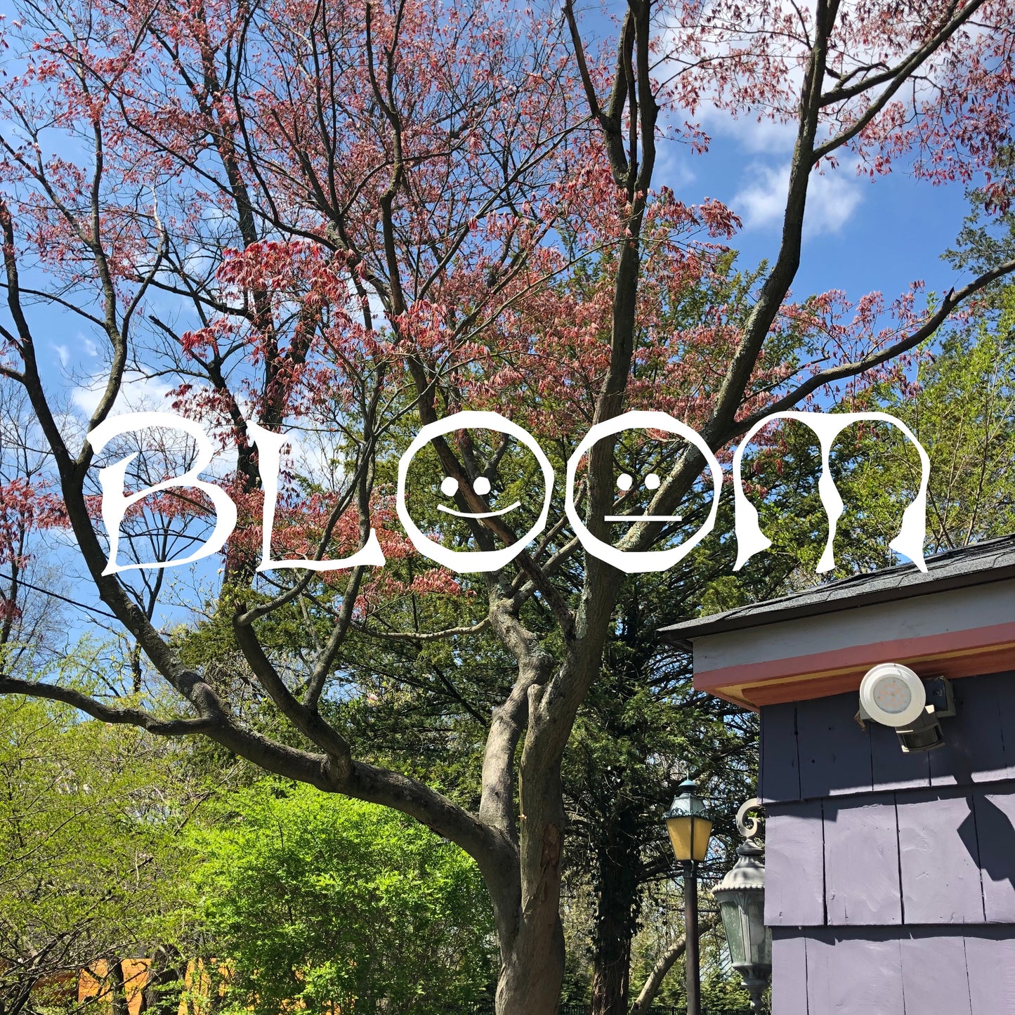 BLOOM Album
